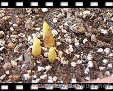 ���컨��ѿ�ˣ�����С��