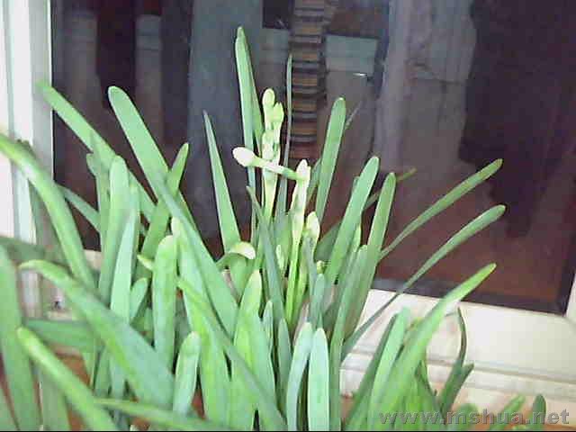 ͼƬ 005.jpg