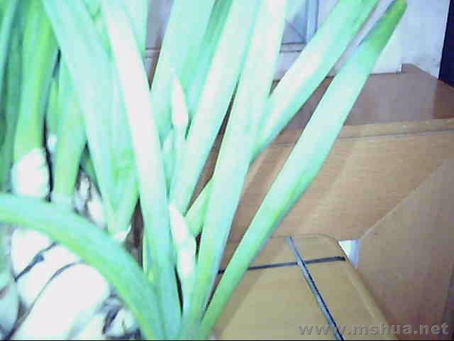 ͼƬ 006.jpg
