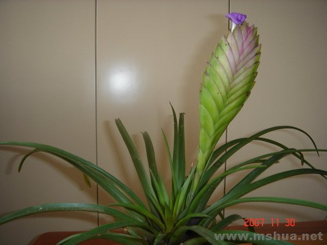 DSC01251.JPG