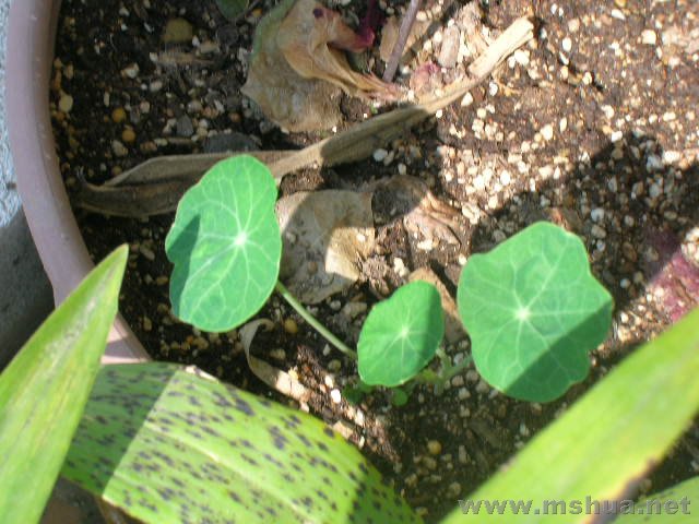 ��������������һ���ˡ�