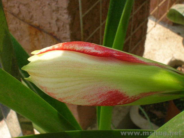 ��һ���Ŀ������ǵ�3���ˡ�