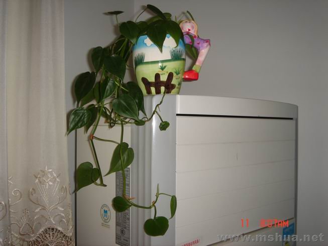 ������С 07.JPG