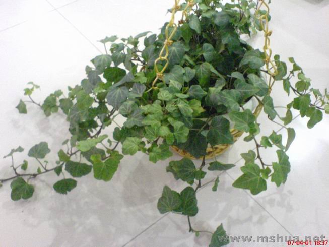 ������С 03.JPG