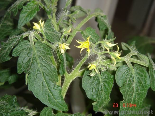 ������С 10.JPG