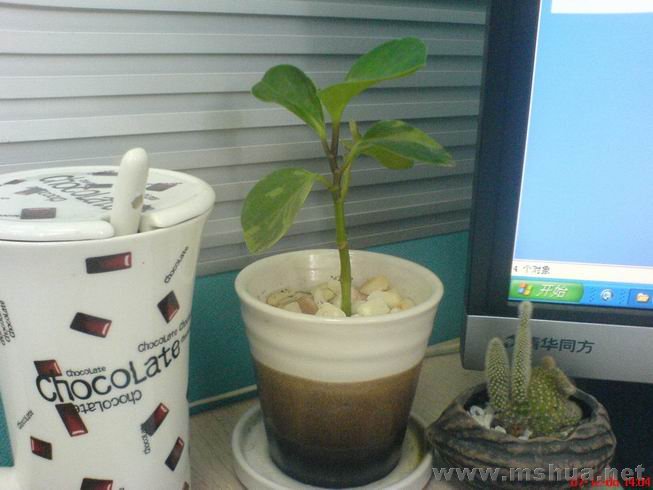 ������С DSC00550.JPG