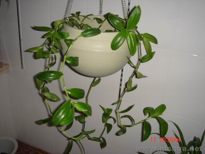 ������С 07.JPG