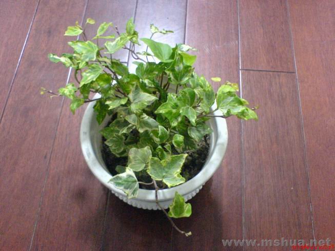 ������С 01.JPG