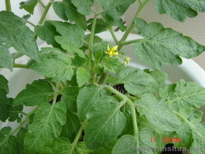 ������С 09.JPG