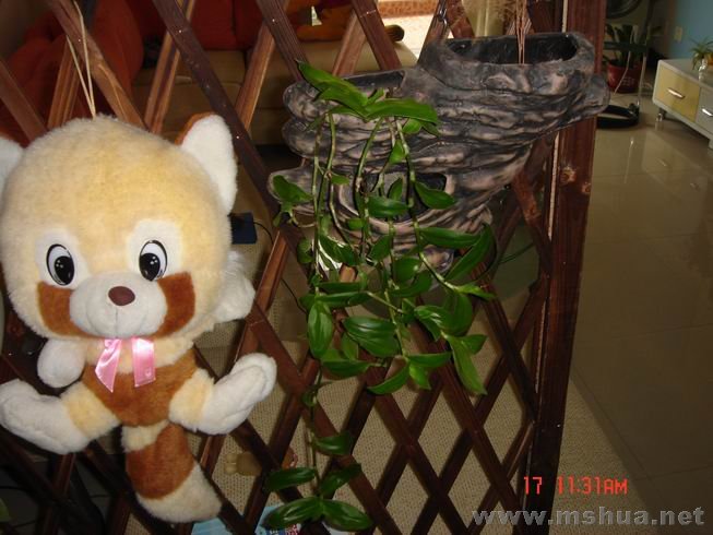 ������С 01.JPG