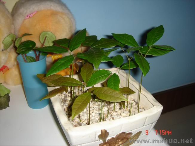 ������С 12.JPG