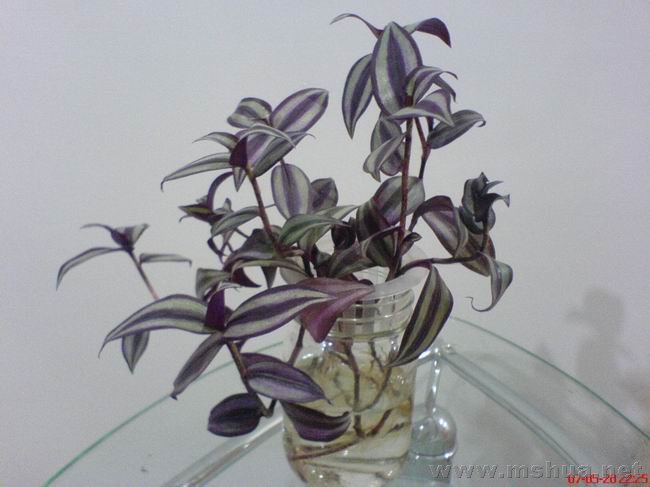 ������С 02.JPG