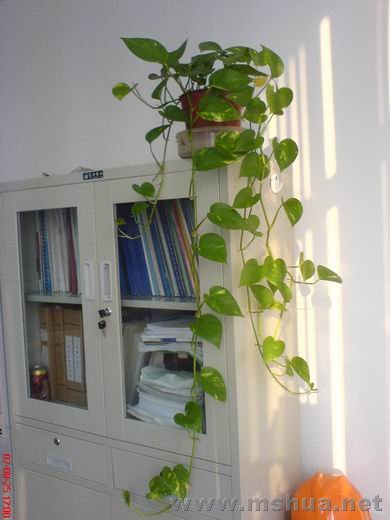 ������С DSC00496.JPG