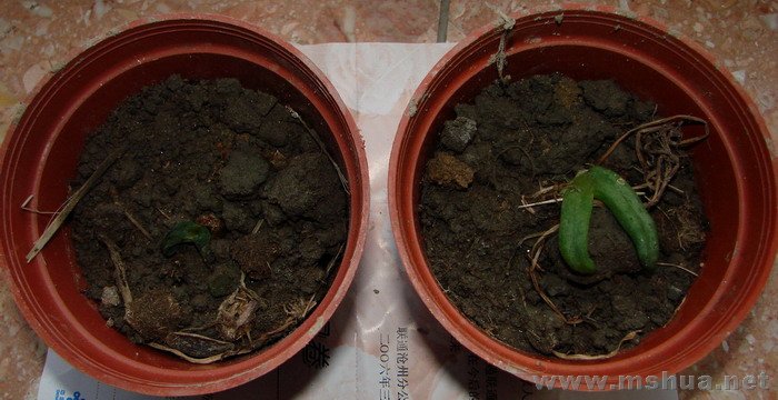 ���ù��������