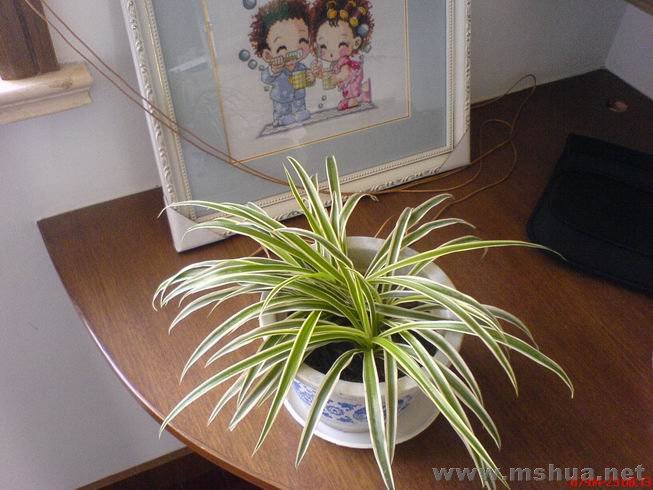 ������С 02.JPG