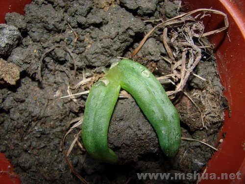 ����һ����������,�����������µ�����