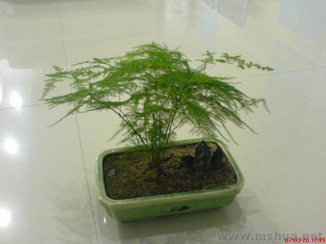 ������С 01.JPG