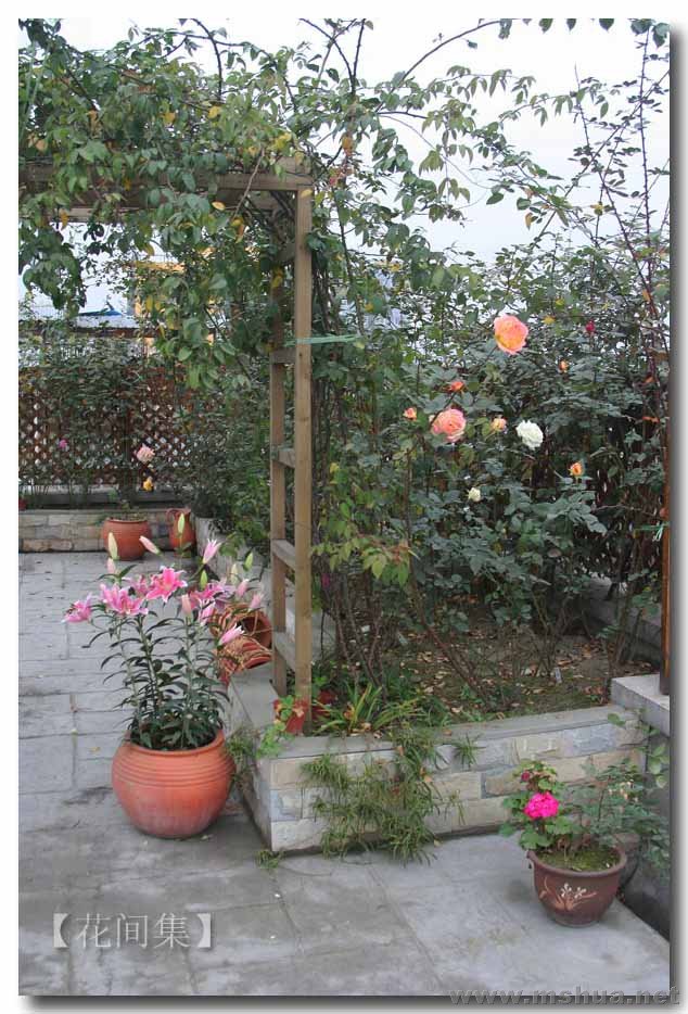 IMG_0232 ����.jpg