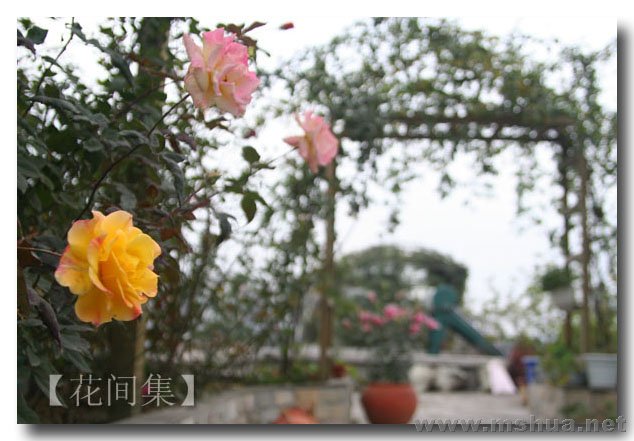 IMG_0235 ����.jpg