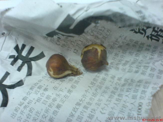 ������С ����ٺϰ�ɫ.JPG