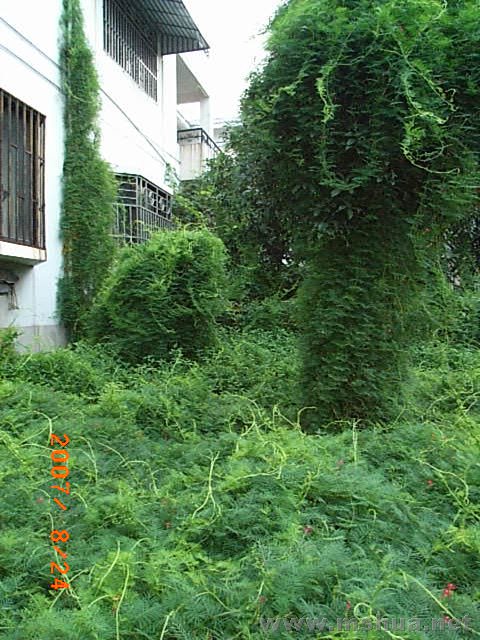 RIMG0015.JPG