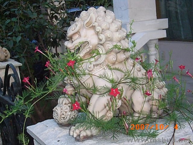 RIMG0042.JPG