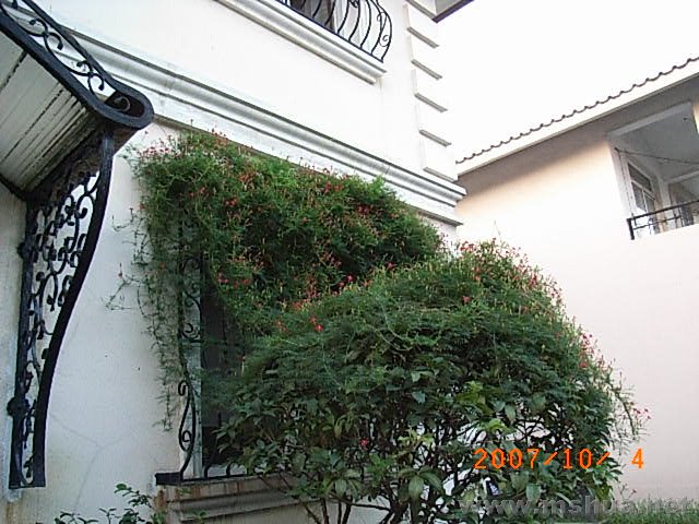 RIMG0038.JPG