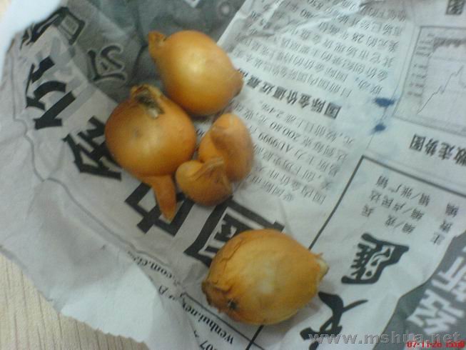 ������С ԭ�����ư�.JPG