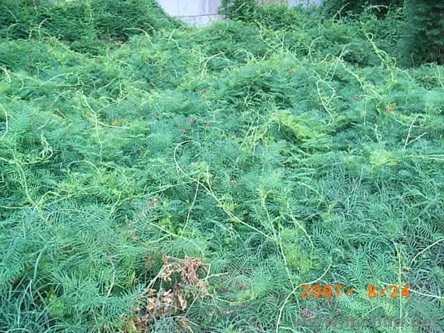 RIMG0011.JPG