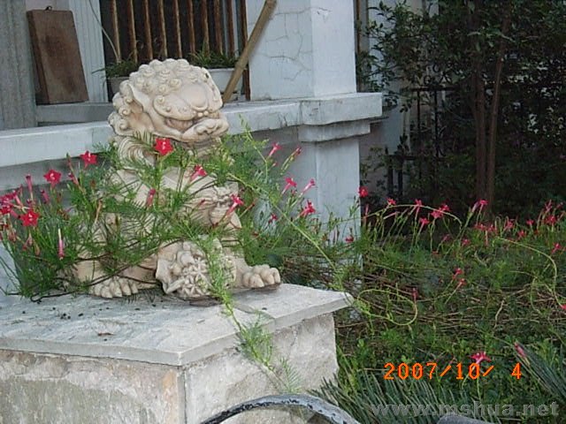 RIMG0044.JPG