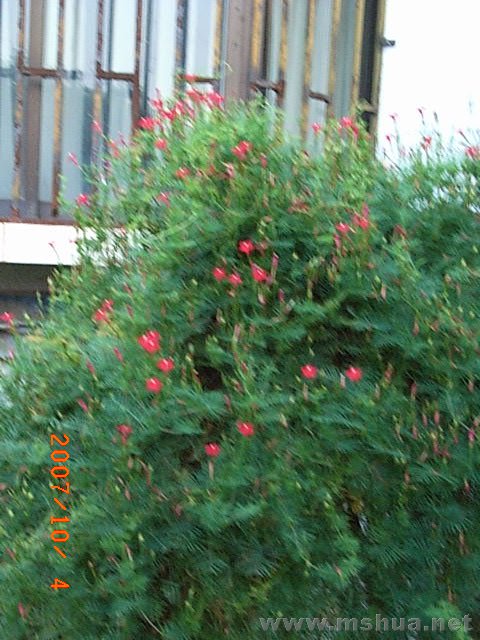 RIMG0030.JPG