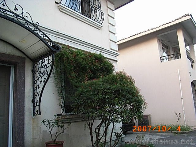 RIMG0037.JPG