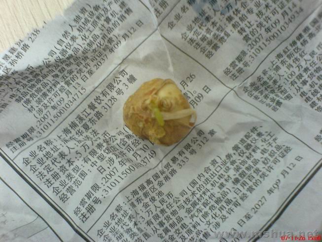 ������С ����ٺϺ�ɫ.JPG