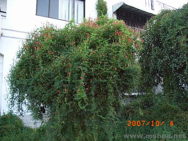 RIMG0024.JPG