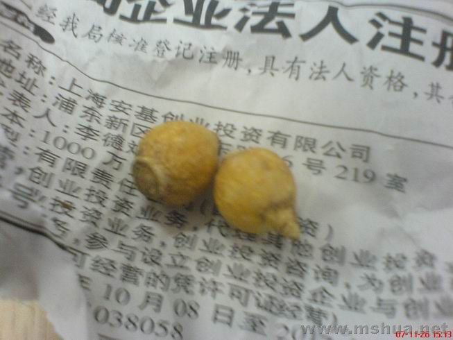 ������С ���ƺ���.JPG