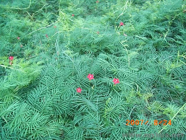 RIMG0012.JPG
