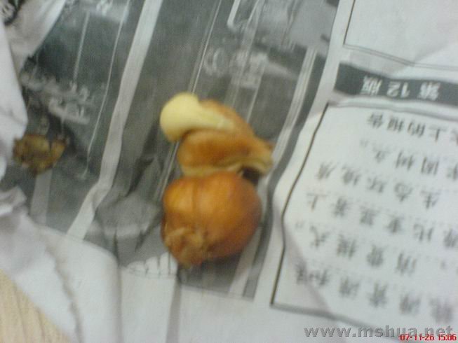 ������С ����ٺ���ɫ.JPG