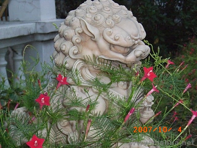 RIMG0043.JPG