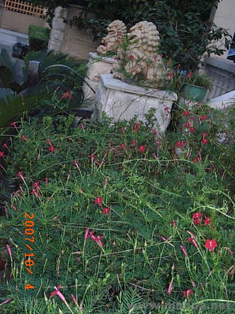 RIMG0041.JPG