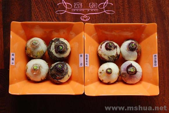 ˮ���� ����.jpg