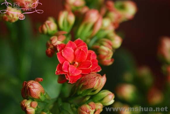 �������� ����.jpg