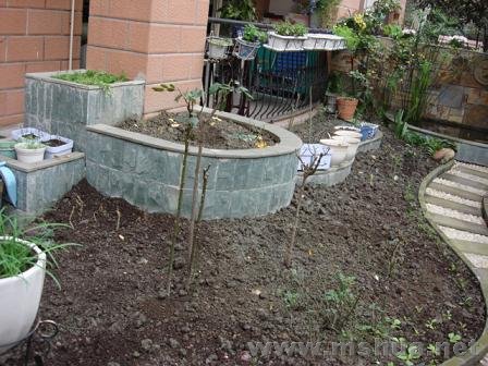 ���ؽ������