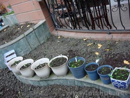 ���²��֣������˵���һ�ź�˫ϲ