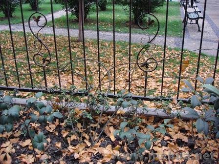 ���������Ѿ����º����̹�����