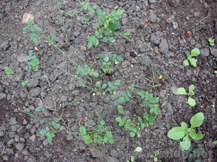 �⼸����΢���¼�