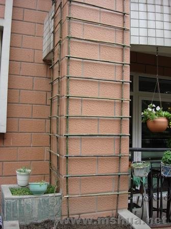 ������ļ��Ӻ�Ư��