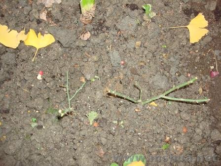 �в�������ֻ�п���������