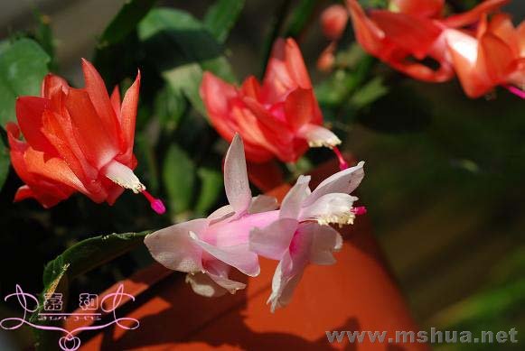 ��ۼ���2 ����.jpg