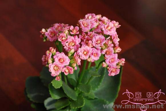 ������2 ����.jpg