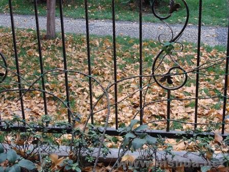 �����̷��Ǵ��¼�ר�����������Ƕ�ѧ�ġ�